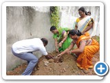 Sree Shanthi Anand Vidyalaya school Coordinator, planting tree